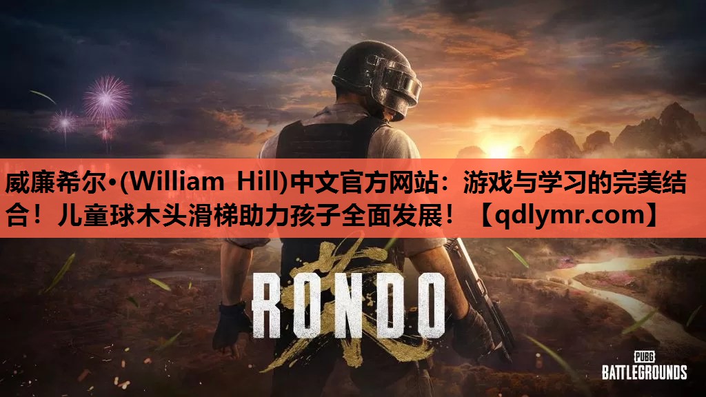 威廉希尔·(William Hill)中文官方网站：游戏与学习的完美结合！儿童球木头滑梯助力孩子全面发展！