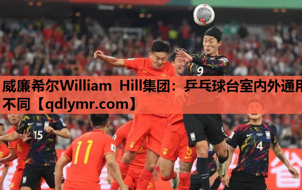 威廉希尔William Hill集团：乒乓球台室内外通用不同