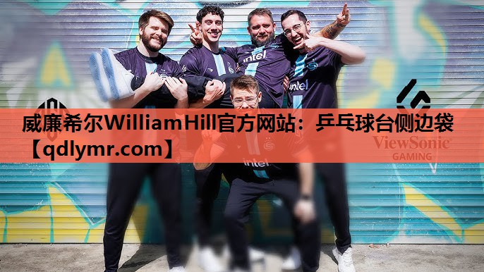 威廉希尔WilliamHill官方网站：乒乓球台侧边袋