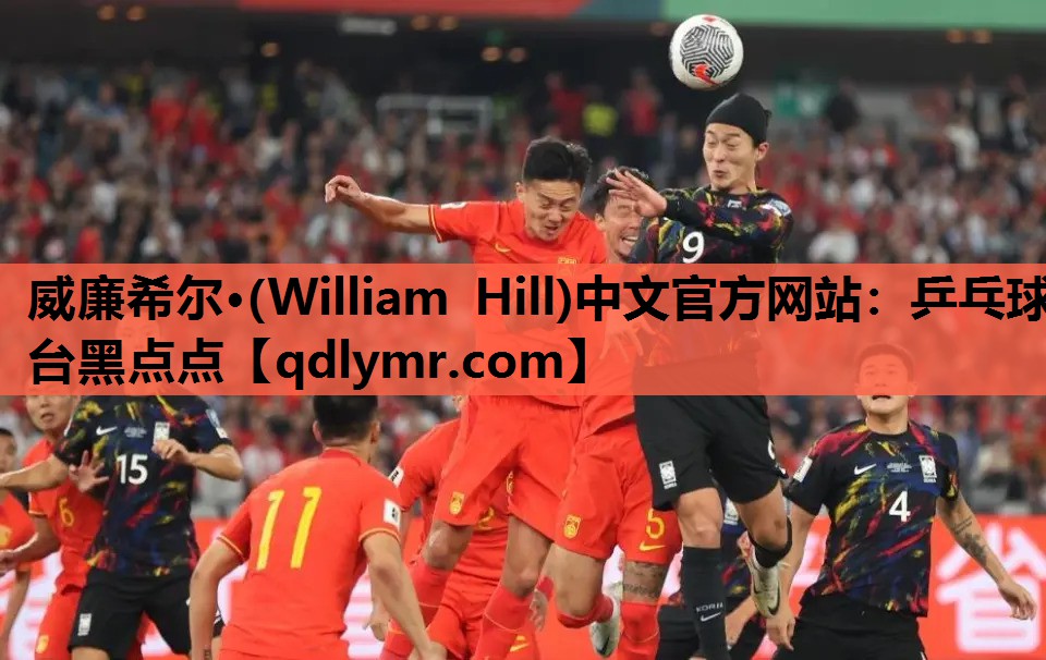 威廉希尔·(William Hill)中文官方网站：乒乓球台黑点点