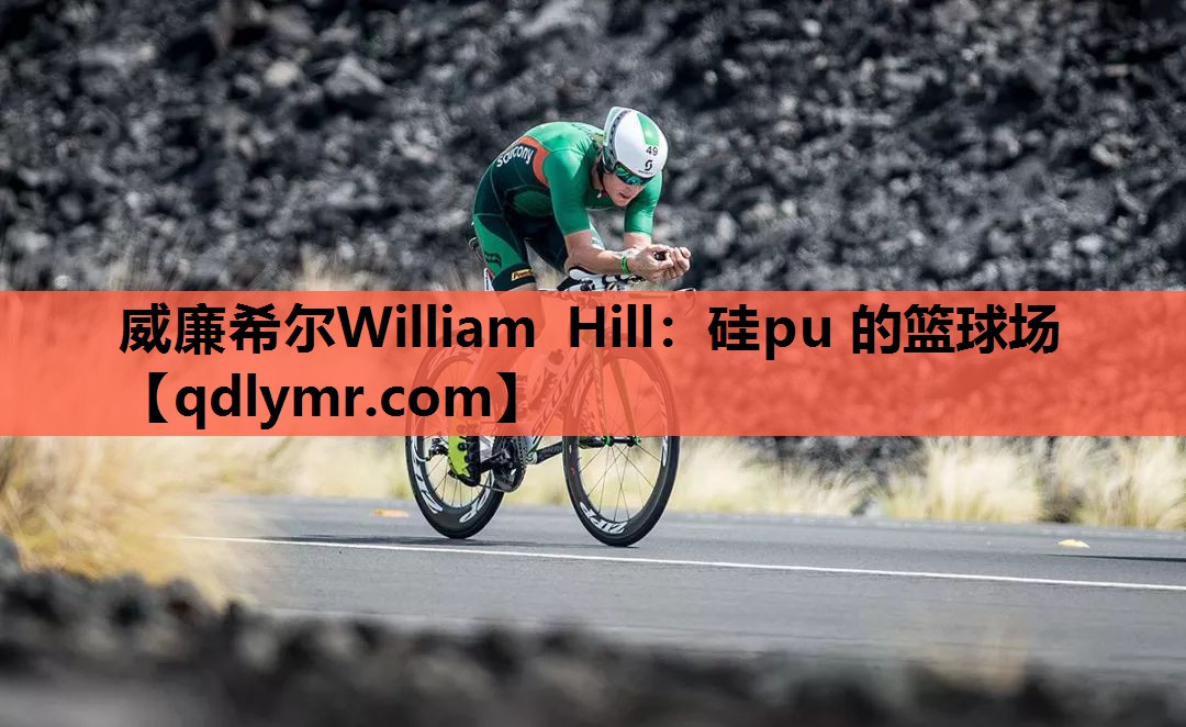 威廉希尔William Hill：硅pu 的篮球场