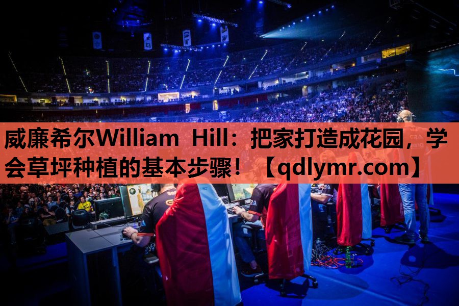 威廉希尔William Hill：把家打造成花园，学会草坪种植的基本步骤！