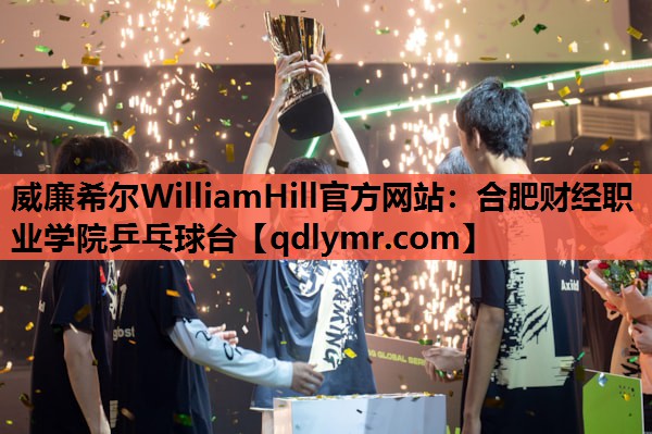 威廉希尔WilliamHill官方网站：合肥财经职业学院乒乓球台