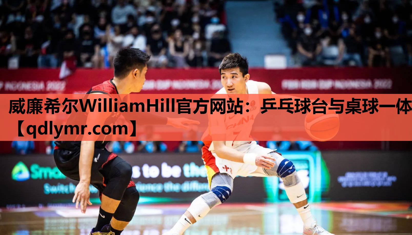 威廉希尔WilliamHill官方网站：乒乓球台与桌球一体