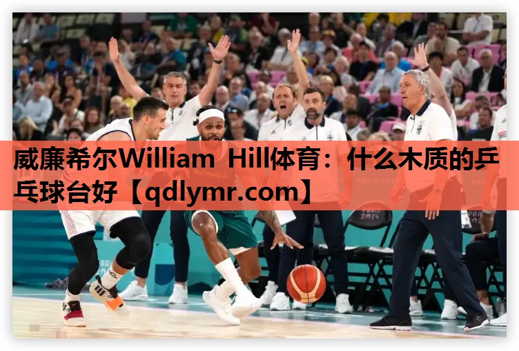 威廉希尔William Hill体育：什么木质的乒乓球台好