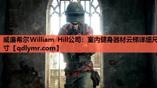 威廉希尔William Hill公司：室内健身器材云梯详细尺寸