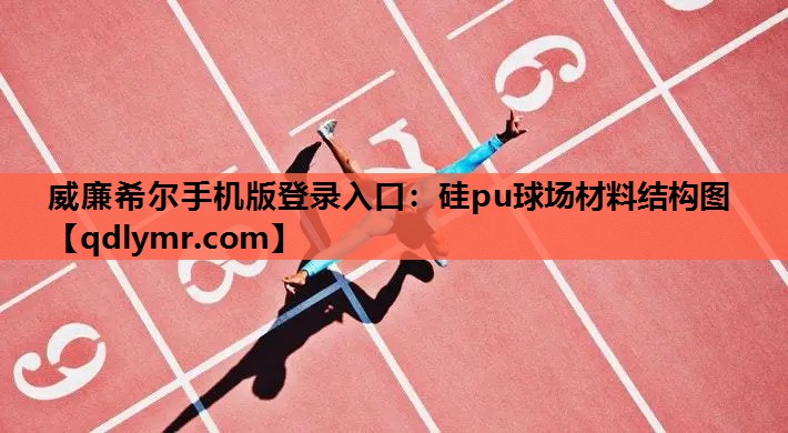 威廉希尔手机版登录入口：硅pu球场材料结构图