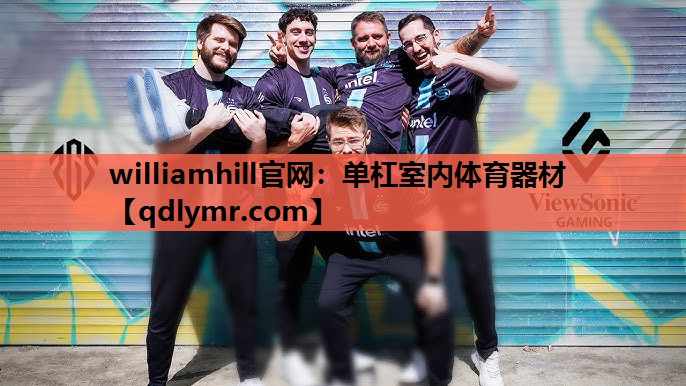 williamhill官网：单杠室内体育器材